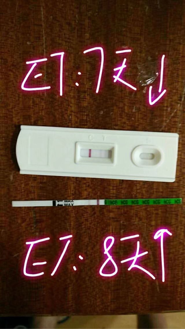 移植后成功怀孕