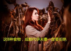 这8种食物，广州代妈夫妻一定要拒绝
