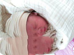 三年求子梦，在耿哥实现，恭喜陈女士