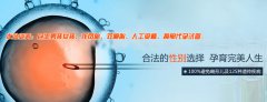 遇到卵子质量差该怎么办